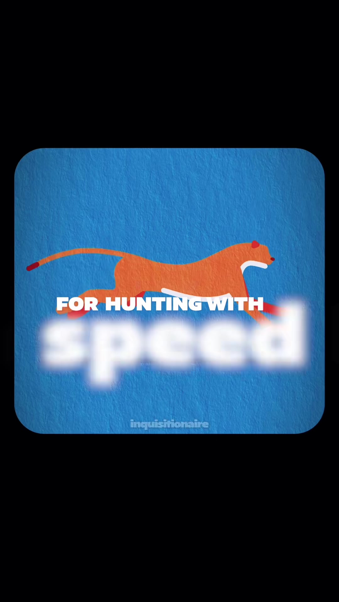 Mindset & Success - French Dub